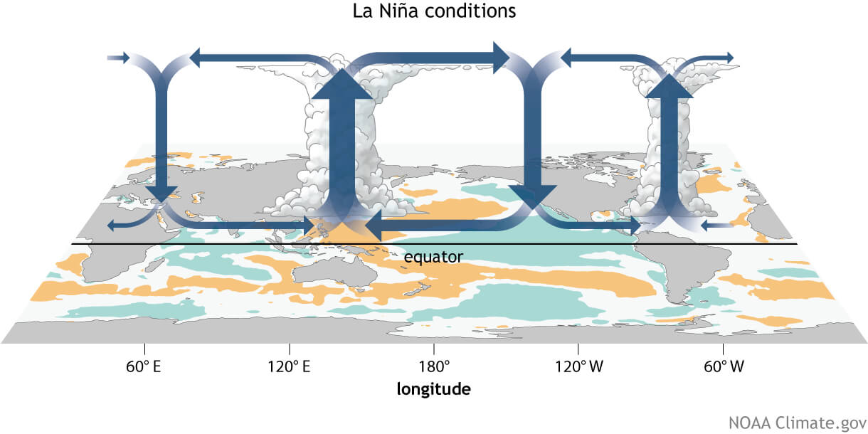 Generalized Walker Circulation (December-February) anomaly during La Niña events